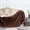 Coffee, variant on UTXQFD ,Sherpa Bed Blankets Double Reversible Fluffy for Bed Warm Soft Twin Flannel Fleece Blankets,63x51''