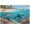 500 PCS, variant on 500 Piece Jigsaw Puzzle, Turtle Orca Coral Reef Ocean Scene, Challenging Family Game Puzzle Gift for Women Adults Seniors, 20.5" x 15"