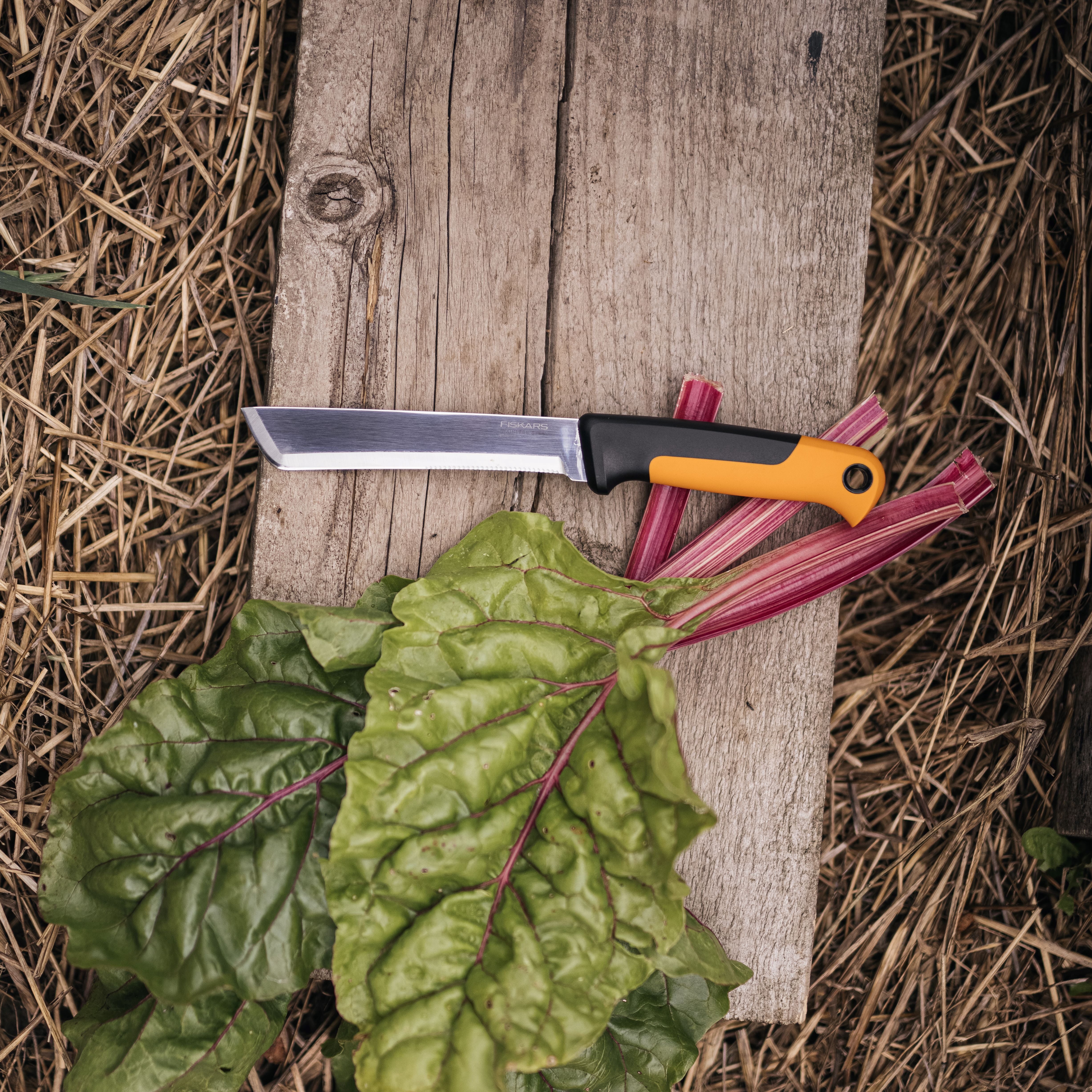 Fiskars Harvesting Garden Knife, Food Gardening Tools, Orange and Black