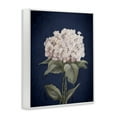 thumbnail image 4 of Stupell Industries Single Hydrangea Bloom Botanical & Floral Painting White Framed Art Print Wall Art, 11 x 14, 4 of 10