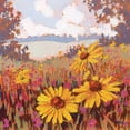 thumbnail image 2 of Musil, Jim 15x15 White Modern Wood Framed Museum Art Print Titled - Black-Eyed Susans, 2 of 4