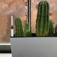 thumbnail image 1 of UPOUART 5Pcs Water Level Gauge for Indoor Plants with Real Time Hydrometer and Watering Aid, 1 of 7