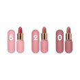 thumbnail image 2 of Pntutb Capsule Velvet Lipstick Fits Skin H144 (Lipstick 3 Sticks), 2 of 9