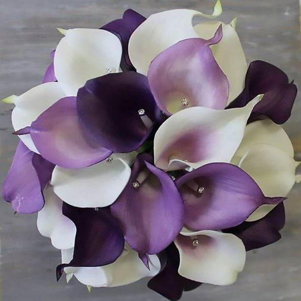 Calla Lily Bulbs Bridal Bouquet 20 Bulbs, White/Purple, Attracts