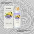 thumbnail image 3 of Witch Hazel Aloe Hydrating Toner, Daily and Hydrating, Deeply Nourishing the Facial Skin, 3 of 6