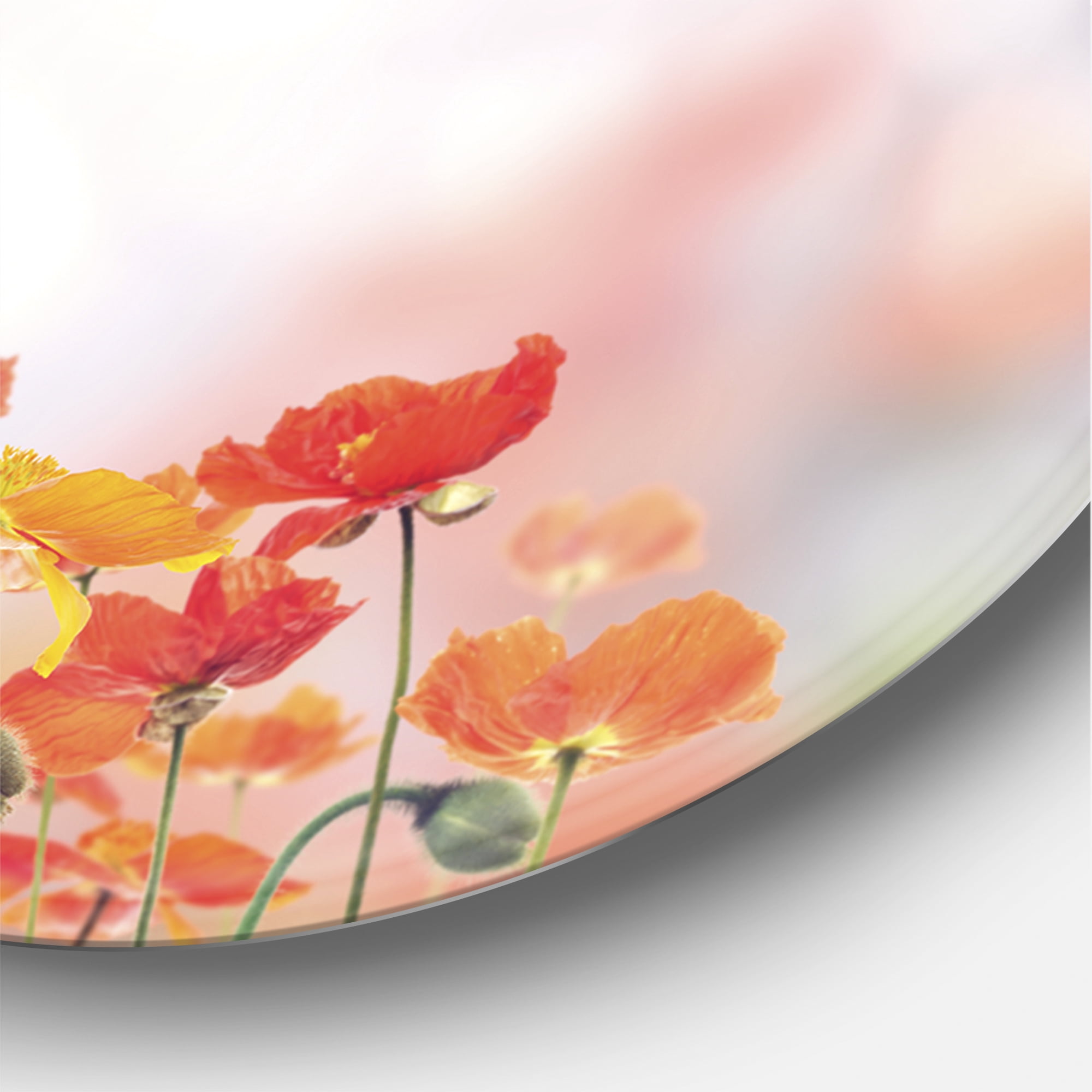 Designart 'Portrait of A Giraffe With Orange Flowers' Farmhouse Circle Metal Wall Art 23x23 - Disc of 23