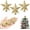 Gold, variant on 3 Pcs Mini Christmas Tree Topper Small Star Christmas Treetop Ornaments for Mini Tree Holiday Decorative Star for Xmas Home Decor