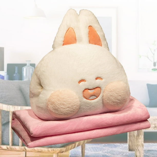 Blanket pillow set online