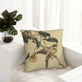 thumbnail image 6 of Fuzoiu Vintage Bird Print Square Pillow Cover,Hidden Zipper Design,Luxury Square Pillow Case, Throw Pillow,Couch Cushion-26"x26", 6 of 7
