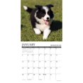thumbnail image 3 of Willow Creek Press, What Puppies Teach Us 2025 Wall Calendar, 3 of 4