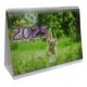 thumbnail image 1 of Calendario De Escritorio 2025 Pack 10, 1 of 4