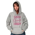 thumbnail image 3 of Sassy Classy Never Trashy Sarcastic Hoodie Sweatshirt Women Brisco Brands X, 3 of 6