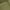 Olive Green, variant on Time and Tru Women’s Fine Gauge Sweater with Long Sleeves, Lightweight, Sizes XS-XXXL
