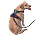 thumbnail image 3 of Lsque Pride Rainbow Dog Harness, No-Pull Pet Harness with 2 Leash Clips, Adjustable Soft Padded Dog Vest with Easy Control Handle for Large Dogs-Large, 3 of 9