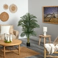 thumbnail image 3 of Nearly Natural 5.5ft. Double Robellini Palm Artificial Tree Uv Resistant, Indoor/Outdoor, Green, 3 of 4