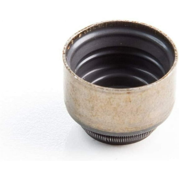 Briggs & Stratton OEM 820405  Seal-Valve