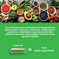 thumbnail image 5 of Paradise Herbs Earth's Blend, One Daily Superfood Multi-Vitamin with Iron, 120 Vegetarian Capsules, 5 of 8