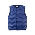 thumbnail image 2 of Godderr Boys Girls Winter Vest Jacket for Baby Kids,Fall Winter Padded Outerwear Warm Waistcoat Down Sleeveless Coats for 2-10 Years, 2 of 6