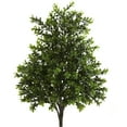 thumbnail image 1 of Nearly Natural 6112-S2 Buisson (Ensemble f 2) (Intérieur/extérieur), 2 Pièces, Vert, 1 of 9