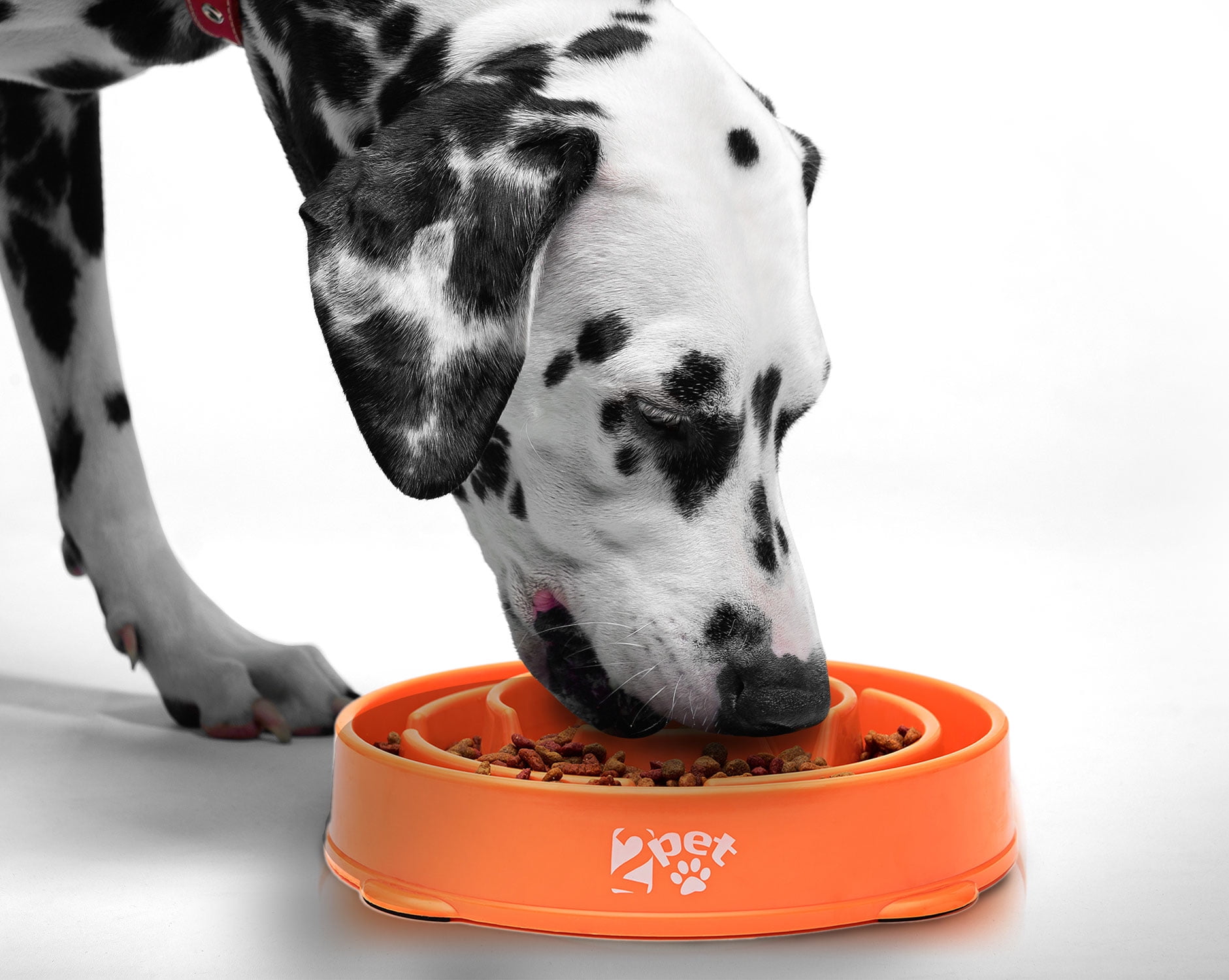 Slow Feed Dog Bowl Slowly Bowly by 2PET. Fun Interactive Dog Dish for Fast Eaters. Prevent