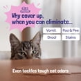 thumbnail image 4 of Limpiador de alfombras Sunny & Honey Pet Stain & Odor Miracle, 3,78 L, 4 of 8