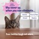 thumbnail image 4 of Limpiador de alfombras Sunny & Honey Pet Stain & Odor Miracle, 3,78 L, 4 of 8