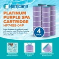 thumbnail image 2 of Hurricane 8 Pack HF7488-04P Platinum Purple Pool Filter Cartridge Replacement, 2 of 7