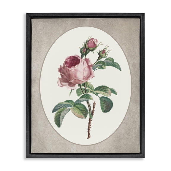 Vintage Rose within Oval Black Framed Floater Canvas Wall Art, design by Lettered and Lined