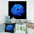 thumbnail image 3 of Designart 'Dew Drops on Blue Aster ' Traditional Framed Art Print, 3 of 4