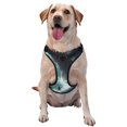 thumbnail image 1 of Cauagu Surfing Shark Pattern Reflective Dog Harness, No-Pull Adjustable Dog Vest Pet Walking Vest No-Choke Pet Vest for Small, Medium & Large Dogs -X-Large, 1 of 6