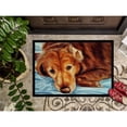 thumbnail image 3 of Carolines Treasures AMB1040JMAT Golden Retriever by Tanya and Craig Amberson Door Mat Indoor Rug or Outdoor Welcome Mat, 3 of 4