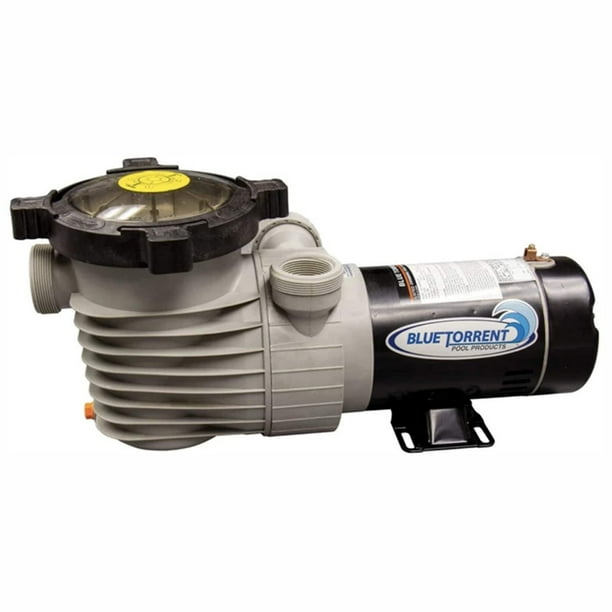 Blue Torrent Pool Pump