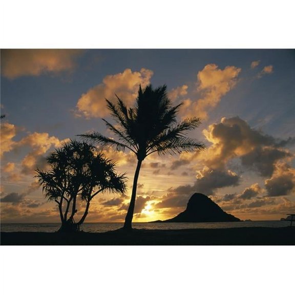 Hawaii  Oahu  Kualoa County Beach Park  Mokolii Island At Sunrise Golden Light Palm Tree In Foreground.