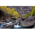 thumbnail image 2 of Rotenberg, Nancy 18x13 Black Ornate Wood Framed with Double Matting Museum Art Print Titled - UT, Zion NP Tree lined stream in The Narrows, 2 of 4