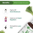thumbnail image 4 of Naturalis Lemon Grass Essential Oil - Pure and Undiluted Lemongrass Essential Oil for Aromatherapy - 30ml, 4 of 4