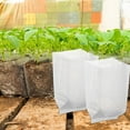 thumbnail image 3 of HONMEET 100pcs Sprouts Growing Kit Non Woven Fabrics White Reusable for Vegetables, 3 of 8