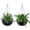 Black, variant on 2 Pack Hanging Planters for Indoor Outdoor Plants,13.4 inch Self-Watering Hanging Rattan-Inspired Planter Large Capacity with Water Level Indicator for Home,Garden Decor,Black