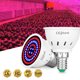 thumbnail image 5 of Luz De Relleno De Plantas Blub Disipación De Calor Luz De Relleno De Plantas En Maceta Luz De Crecimiento De Plantas De Ahorro De Energía Con Tornillo E27 300 Cuentas Para Patio De Jardín Kearding HA027311-02, 5 of 6