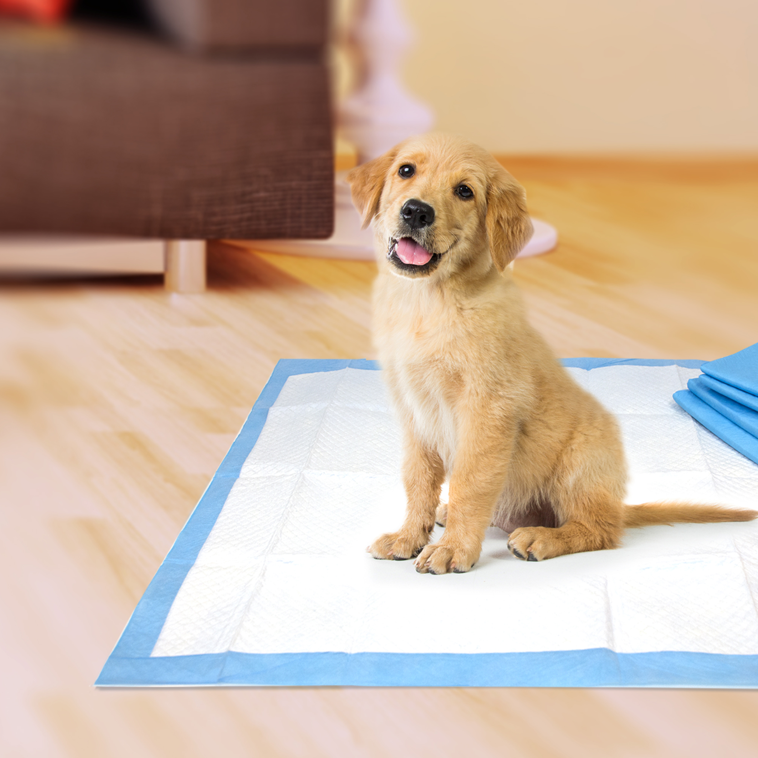 Four Paws Pet Select Pee Pee Pads for Dogs and Puppies 50 Count Standard 22" x 23" - image 5 of 8