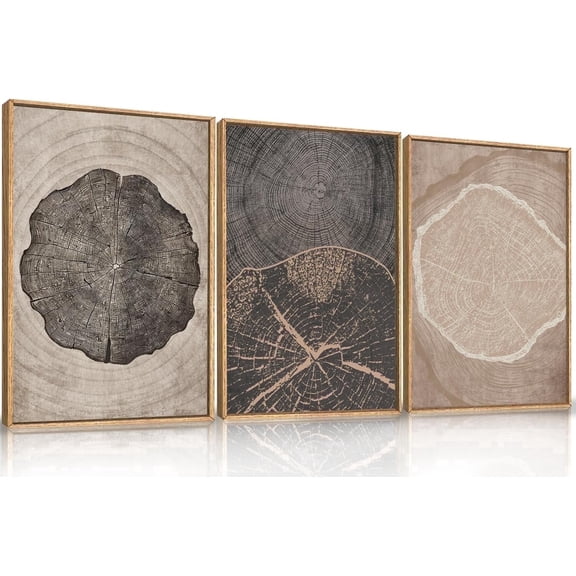 Beige Tree Ring Framed Canvas Wall Art Set, Neutral Modern Wood Stump Wall Decor,Vintage Abstract Tree Spiral Art Print,Minimalist Wood Artwork for Living Room,Bedroom,Office- 16"x24"x3
