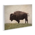 thumbnail image 3 of Stupell Industries Serene Buffalo on Country Hill Animals Painting Unframed Art Print Wall Art, 19 x 13, 3 of 7