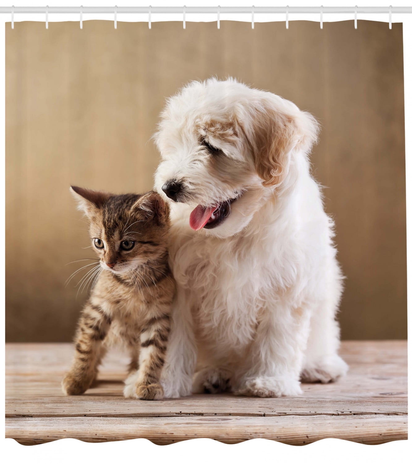 cute baby cats and dogs