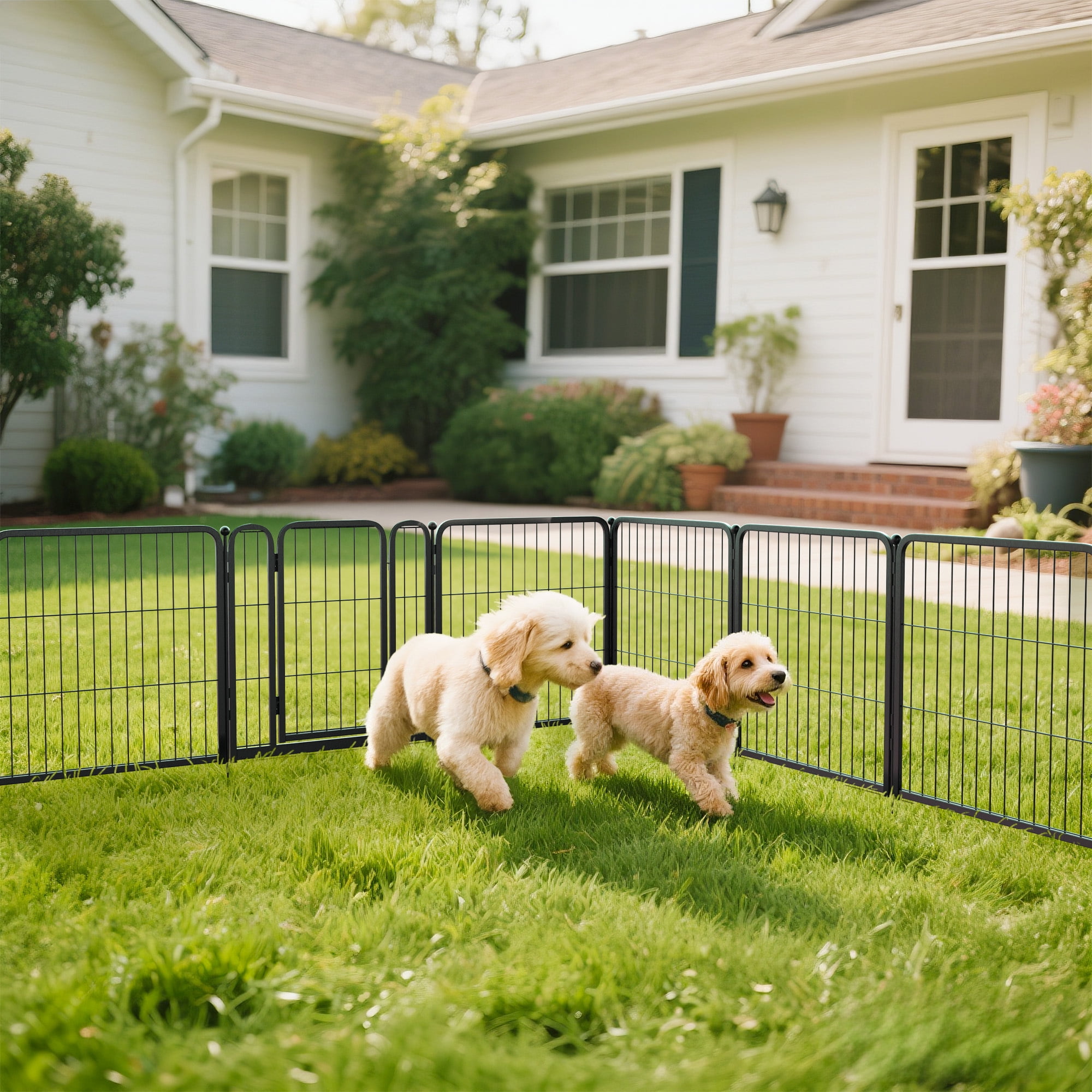 FXW Aster Dog Playpen Designed for Courtyard, RV Camping, 24" 16 Panels for Small Dogs, Black