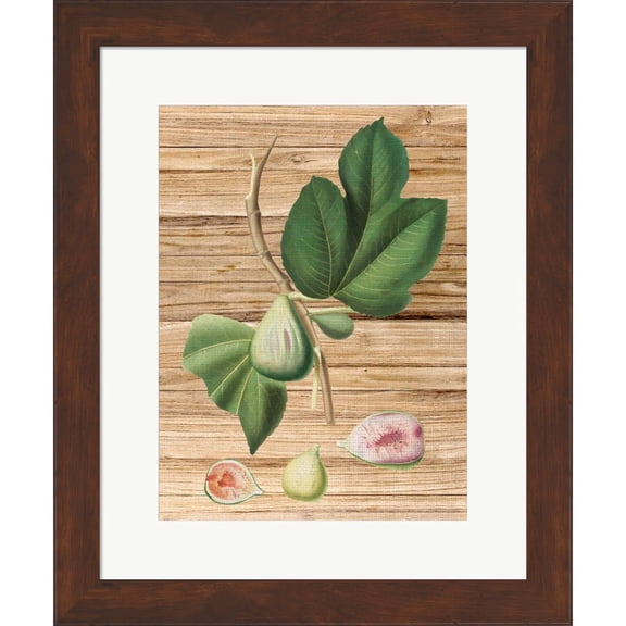 Great Art Now Pressed Fruit 2 by Ann Bailey, Framed Wall Art, 14.75W x 17.75H