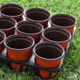 thumbnail image 5 of Soporte para plantas de decoración de jardín, soporte para lavabo con forma de Phalaenopsis, macetas de vivero, bandeja de plantación, soporte de germinación, 5 of 5