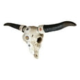 thumbnail image 3 of 19"L Large Country Western Steer Cow Skull With White Flowers Tribal Wall Decor, 3 of 4