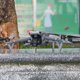 thumbnail image 5 of Tren de aterrizaje Drone tren de aterrizaje Booster Stand Gear para DJI Mavic 3 Accesorios, 5 of 9
