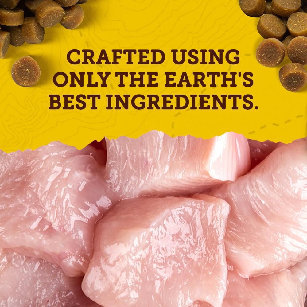 Zuke's Mini Naturals Tender Bites Chicken Recipe, Dog Treats, 170-454 g