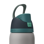Owala FreeSip Stainless Steel Water Bottle, 32oz, Gray Whale