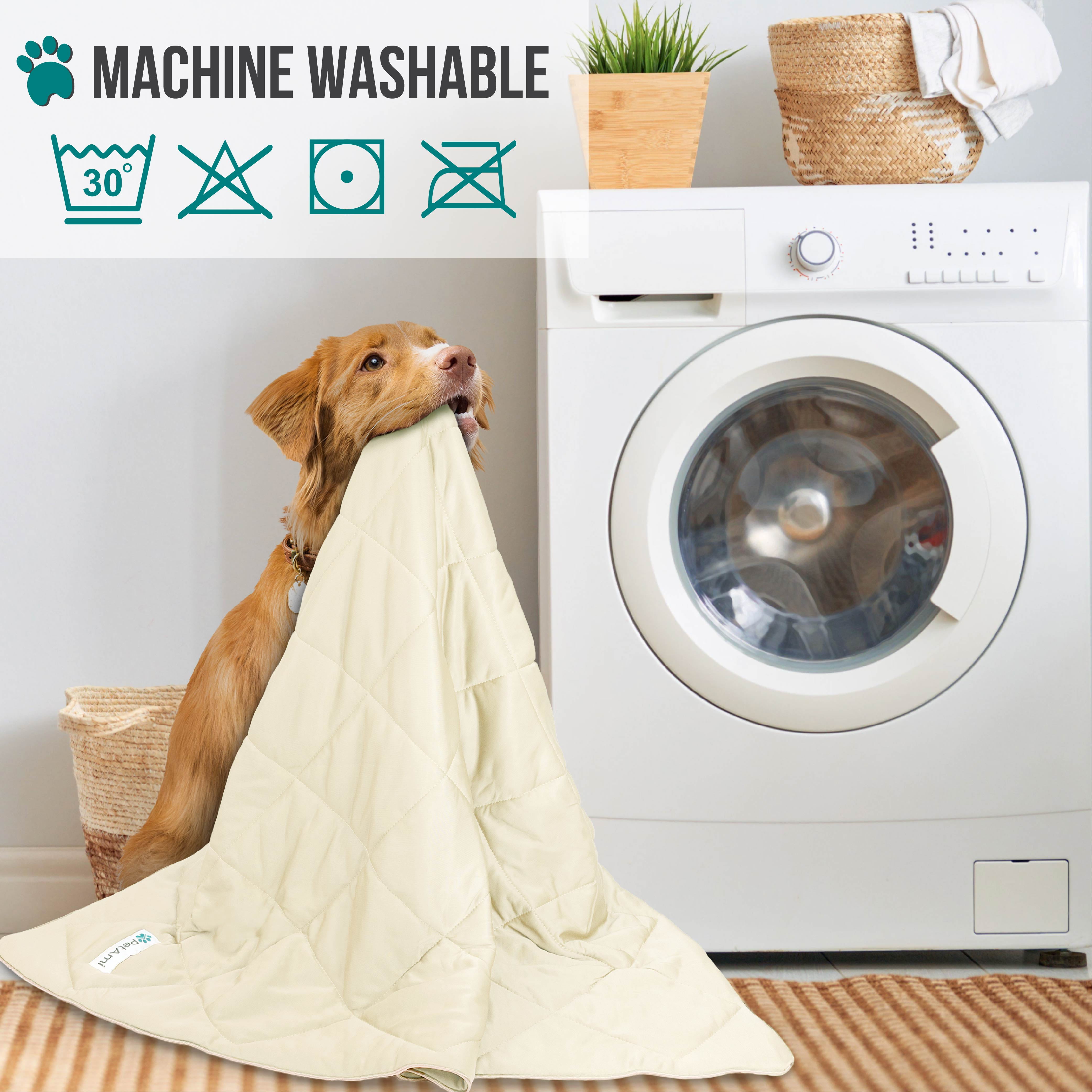 PetAmi Premium Cooling Dog Blanket | Lightweight Fluffy Pet Throw Blanket Bed Cover for Dogs, Cat, Puppies | Pet Blanket Furniture Protector Couch Sofa | Reversible Fuzzy Cozy | 40x60, Beige Latte
